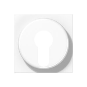 Jung Abdeckung alpinweiß für Schlüsselschalt. A 528 PL WW – Bild 1