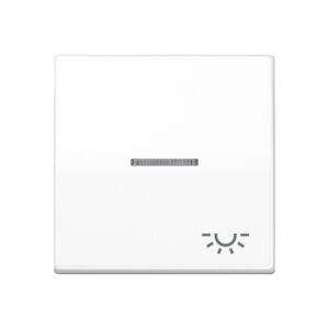 Jung Wippe Sym.LICHT/Lichtl.aw für beleuchtb.Taster AS 591 KO5L WW – Bild 1