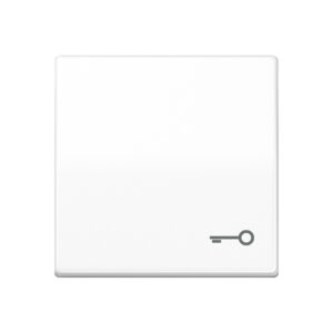 Jung Wippe Symbol TÜR alpinweiß für Taster AS 591 T WW – Bild 1