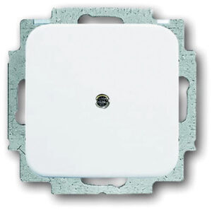 Busch-Jaeger Blindzentralscheibe alpinweiß mit Tragring 2538-214 – Bild 1