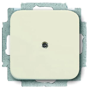 Busch-Jaeger Blindzentralscheibe weiß mit Tragring 2538-212 – Bild 1