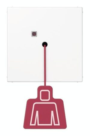 Jung Zugtaster ohne Rahmen alpinweiß Schraubbefestigung NRS LS 0834 ZT WW – Bild 1