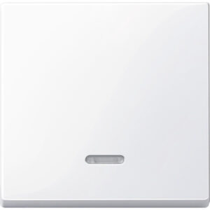 Merten Wippe Kontr.Fenster alpinweiß glänzend für Schal.Tast.Einsatz 436025 – Bild 1