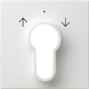 Gira Zentralplatte Reinweiß glänzend für Schlüsselschalter 066403 – Bild 1