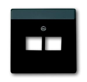 Busch-Jaeger Zentralscheibe anth für UAE-Anschlussdose 2-fach 1803-02-81 – Bild 1