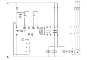 Phoenix Contact Not-Aus-Relais PSRSCP-24DC #2981800 – Bild 1