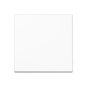 Jung Wippe 1-fach alpinweiß A 590 BF WW – Bild 1