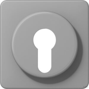 JG CD 528 GR-B Abdeckung für Schlüsselschalter Druck-Klischee "Besen-Symbol" – Bild 1