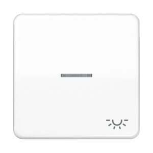 Jung Wippe Sym.LICHT/Lichtl.aw für beleuchtb.Taster CD 590 KO5L WW – Bild 1