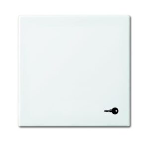 Busch-Jaeger Wippe mit Aufdruck alpinweiß 2520 TR-914 – Bild 1