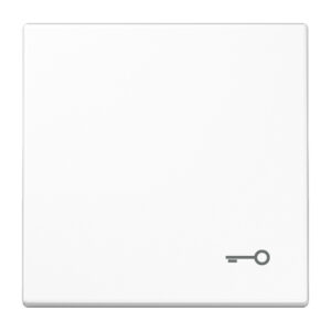 Jung Wippe Symbol TÜR alpinweiß für Taster LS 990 T WW – Bild 1