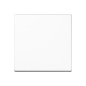 Jung Steuertaste Standard A 1700 WW – Bild 1