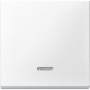 Merten Wippe Kontr.Fenster polarweiß für Schal.Tast.Einsatz 431019 – Bild 1