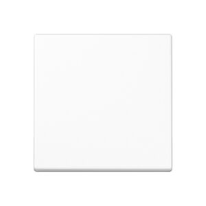 Jung Wippe für Taster A 101 WW – Bild 1