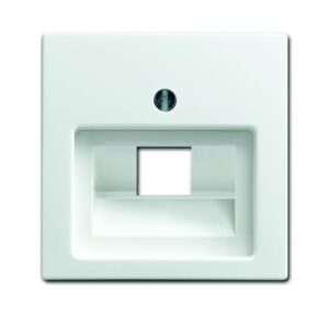 Busch-Jaeger Zentralscheibe alpinws für Datenkommunikation 1803-914 – Bild 1