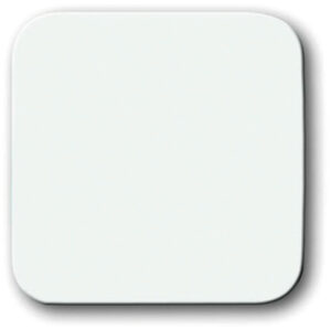 Busch-Jaeger Wippe alpinweiß mit geschlossener Oberfläche 2506-214 – Bild 1