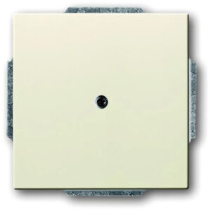 Busch-Jaeger Zentralscheibe sav/ews Blindabd, mit Tragring 1742-82 – Bild 1