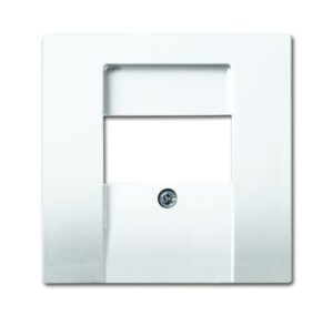 Busch-Jaeger Zentralscheibe alpinws für TAE/Datenkommunik. 2539-914 – Bild 1