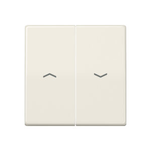 Jung Wippe Symbole weiß für Taster AS 591-5 P – Bild 1