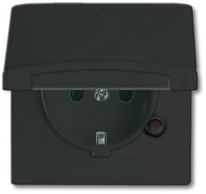 Busch-Jaeger Schuko-Steckdoseneinsatz IP44 anthrazit 20 EUGK-35-101 – Bild 1