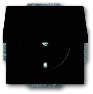 Busch-Jaeger Steckdosen-Einsatz Klappd.,schwarz matt 20 EUK-885 – Bild 1