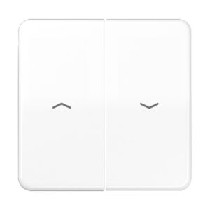 Jung Wippe Symbole alpinweiß für Taster CD 595 P WW – Bild 1