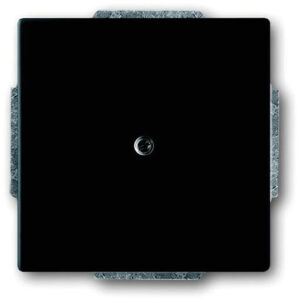 Busch-Jaeger Zentralscheibe schwarz matt Blindabd, mit Tragring 1742-885 – Bild 1