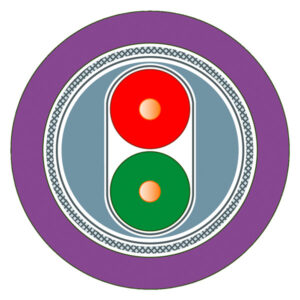 Siemens Profibus-Leitung Standard 2-adrig 6XV1830-0EH10 – Bild 1