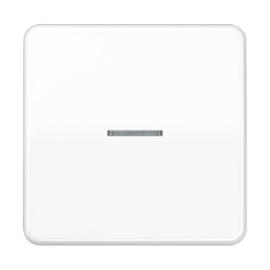 Jung Wippe Lichtleiter alpinweiß für Taster CD 590 KO5 WW – Bild 1