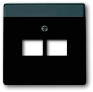 Busch-Jaeger Zentralscheibe schwarz matt für UAE-Anschlussdose 2-fach 1803-02-885 – Bild 1