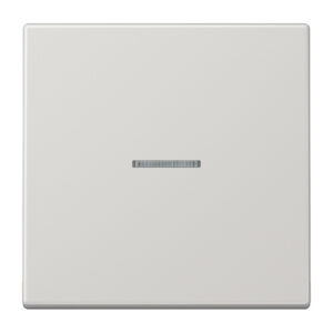 Jung Wippe Lichtleiter lichtgrau für Schalter/Taster LS 990 KO5 LG – Bild 1