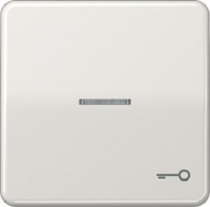 Jung Wippe Symbol Tür für beleuchteten Taster lichtgrau CD590KO5TLG – Bild 1