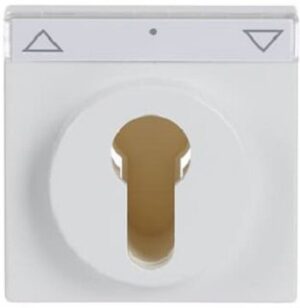 Busch-Jaeger Zentrals.Schl.Sch. davos/studioweiss 1755SL/PZ-84-101 – Bild 1