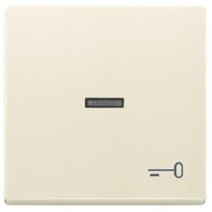 Busch-Jaeger Wippe mit Symbol Schlüssel solo savanne/elfenbeinweiss 1789TR-82 – Bild 1