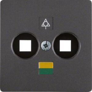 Berker Zentralplatte anthrazit 14031606 – Bild 1