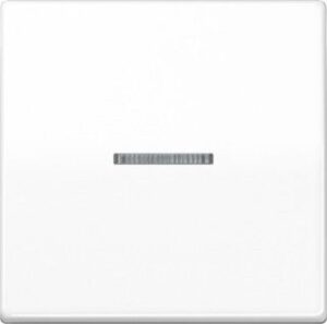 Jung Wippe Kontroll AS uni mit Linse Schraubbef.alpinws AS591KO5BFSWW – Bild 1