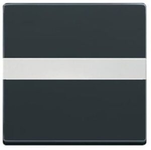 Busch-Jaeger Wippe mit Beschriftungsfolie solo anthrazit 1764NLI-81 – Bild 1