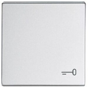 Busch-Jaeger Wippe mit Aufd.Schlüssel. future linear alusilber 2520TR-83 – Bild 1