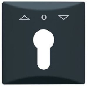 Busch-Jaeger Abdeckung Jalousie/Taster AW44 Profilhalbzylinder anthrazit 2155PZ-35 – Bild 1