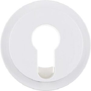 Berker Zentralstück polarweiß glänzend für Schlüsselschalter 15072089 – Bild 1