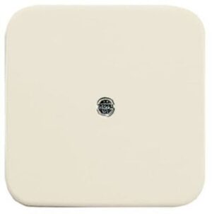 Busch-Jaeger Zentralscheibe VDo Dosen Duro 2000 SI weiss 2536-212 – Bild 1