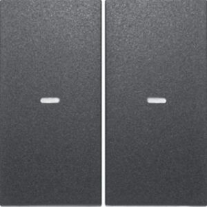 Berker Tast-Abdeckung 2-fach anthrazit 80960385 – Bild 1