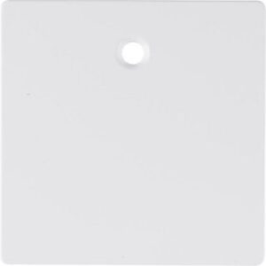 Berker Zentralstück Zugschalter 11466089 – Bild 1