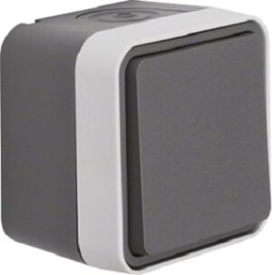 Berker Kreuzschalter lichtgrau 30773505 – Bild 1