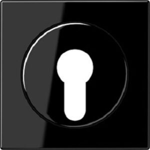 Jung Abdeckung für Schlüsselschalter (LS990) schwarz LS928SW – Bild 1