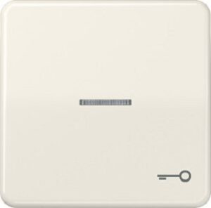 Jung Wippe Symbol Tür für beleuchteten Taster weiss CD590KO5T – Bild 1