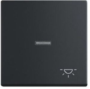 Busch-Jaeger Wippe future linear schwarz-matt mit Symbol 1789LI-885 – Bild 1