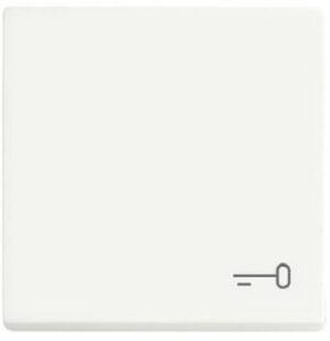 Busch-Jaeger Wippe mit Aufd.Schlüssel future linear studioweiss matt 2520TR-884 – Bild 1