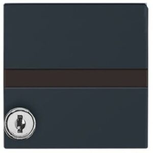 Busch-Jaeger Zwischenring mit Beschriftungsfeld 2118GKSLN-3 IP44 Allwetter anthrazit 2118GKSLN-35 – Bild 1