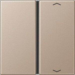 Jung Taste 1-fach Pfeil champagner A401TSAPCH – Bild 1